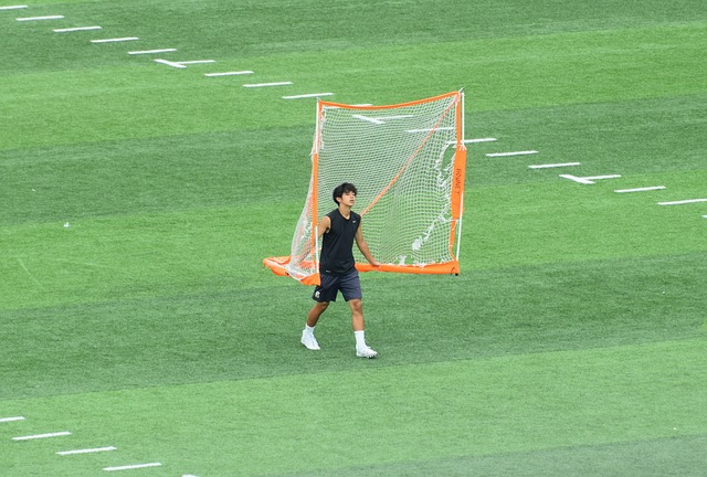 长期的解决