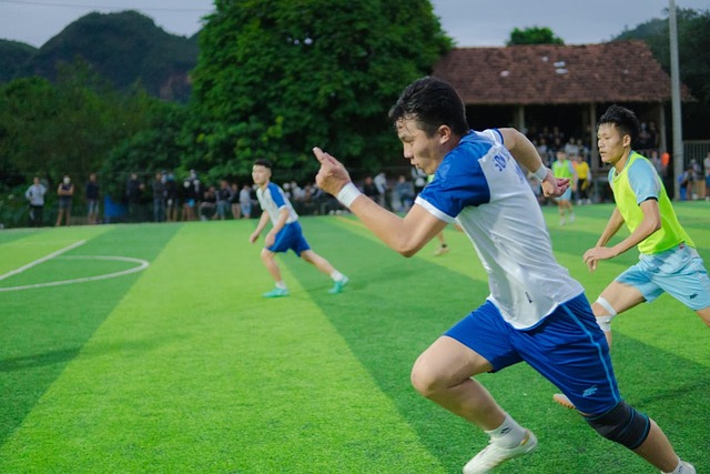 他们可能会